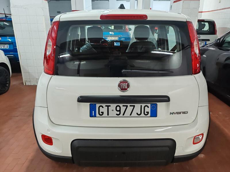 Fiat Panda 1.0 firefly hybrid s&s 70cv NEW LIFE
