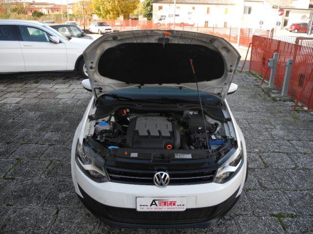 VOLKSWAGEN Polo 1.2 TDI DPF 5p. Comfort. -Ok NEOPATEN.- DA VETRINA