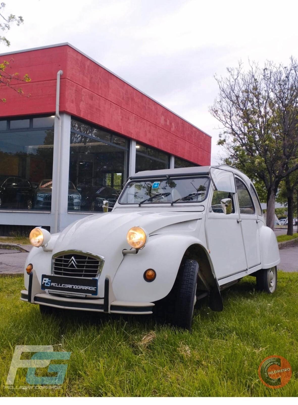 Citroen 2CV special