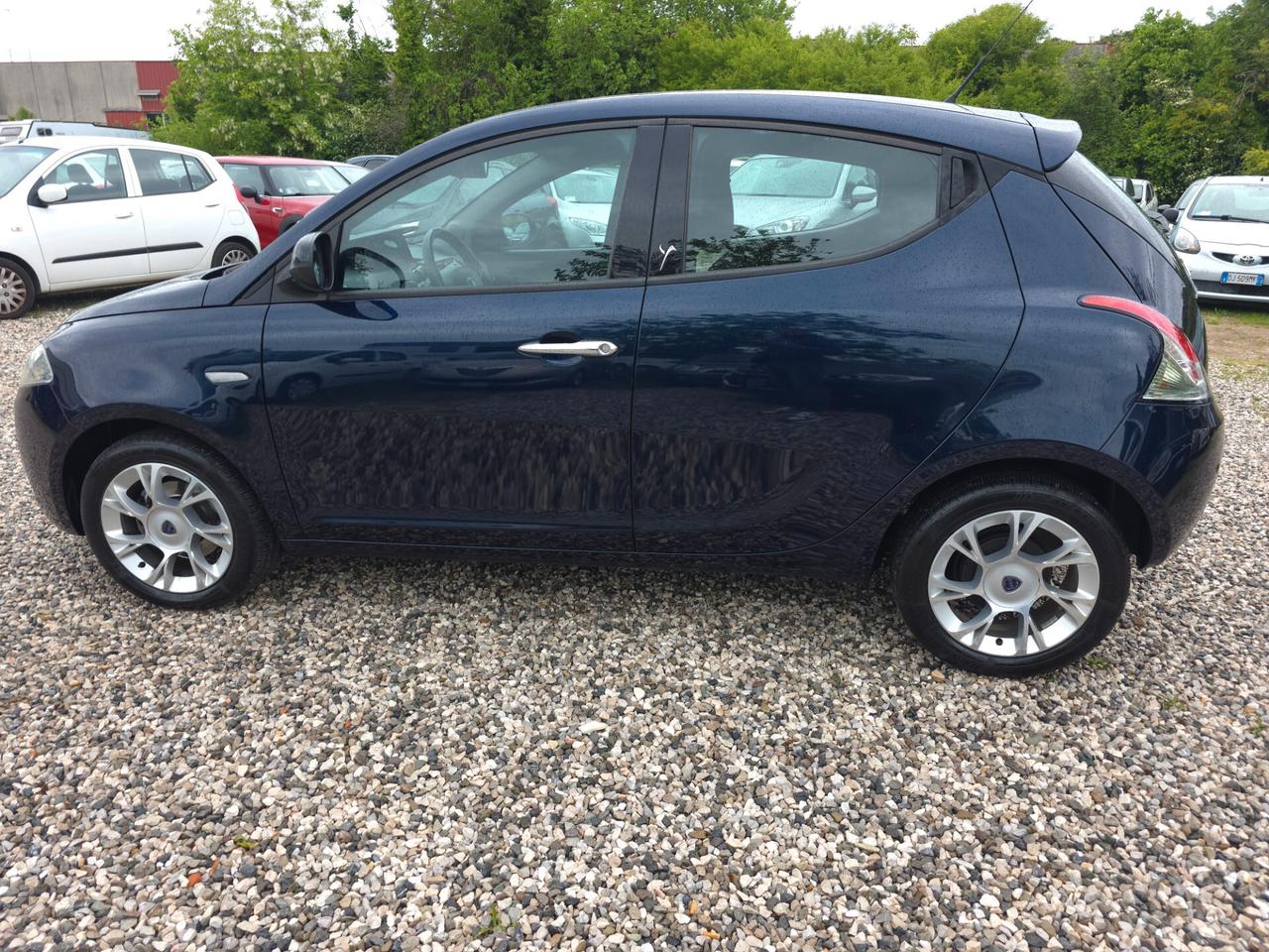 Lancia Ypsilon 1.3 MJT 16V 95 CV 5 porte S&S Platinum