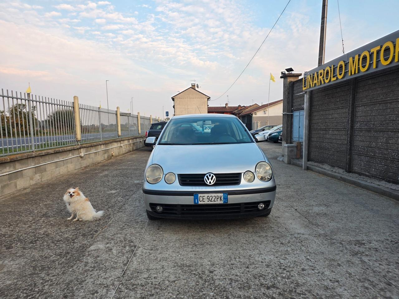 Volkswagen Polo 1.4 TDI 5p. Trendline
