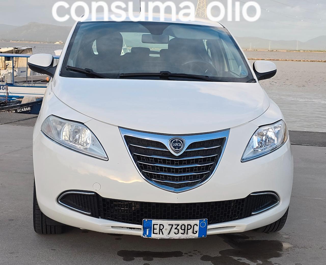 Lancia Ypsilon 1.3 MJT 16V 95 CV 5 porte S&S Platinum