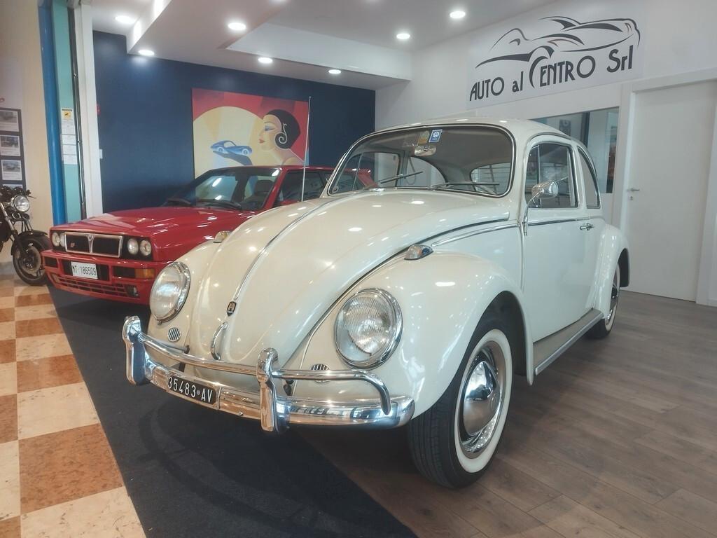 Volkswagen Maggiolino 6 volt vetro piatto ASI + CRS