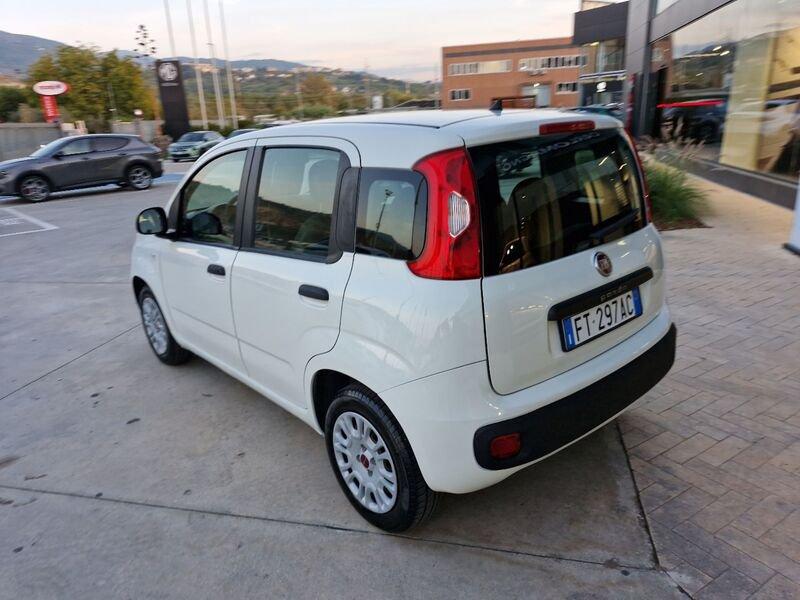 FIAT Panda III 2016 1.2 Easy s&s 69cv my19