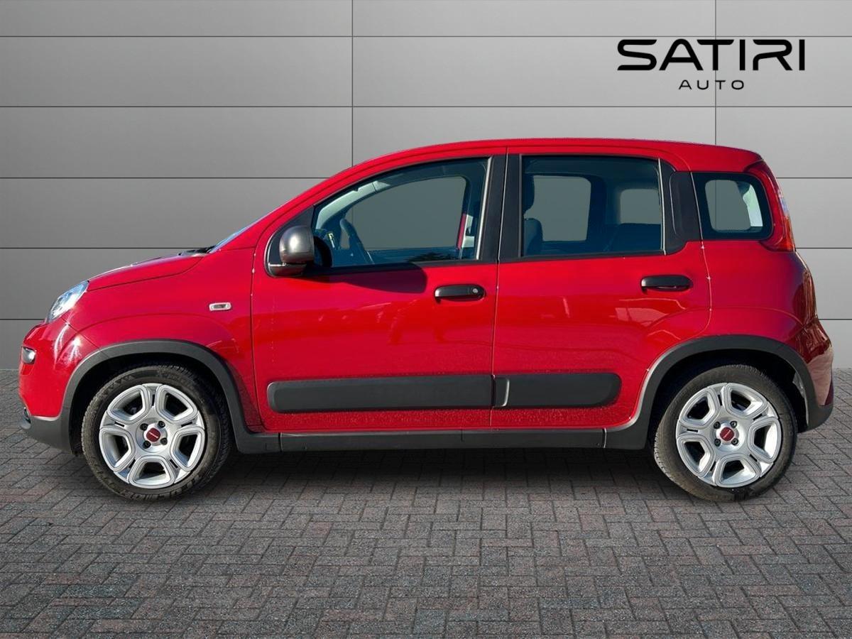 FIAT Panda III 2021 - Panda 1.0 firefly hybrid City Life s&s 70cv