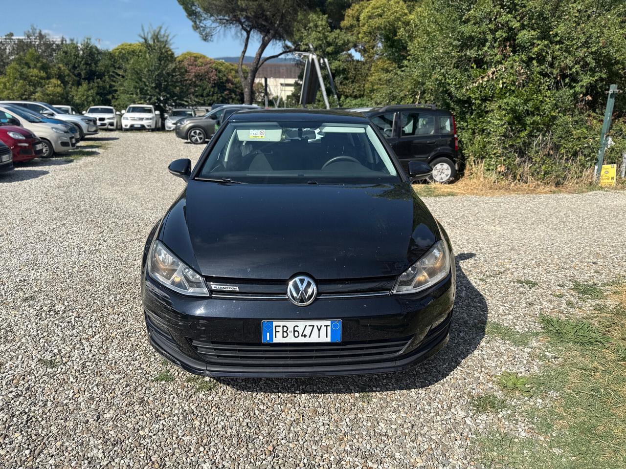 Volkswagen Golf 1.4 TGI 5p. Trendline BlueMotion