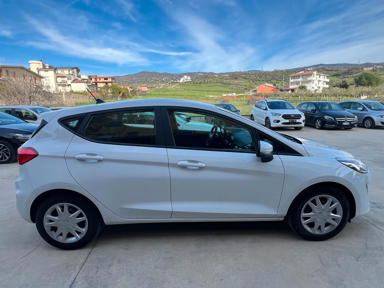 Ford Fiesta 1.5 EcoBlue 5 porte Business