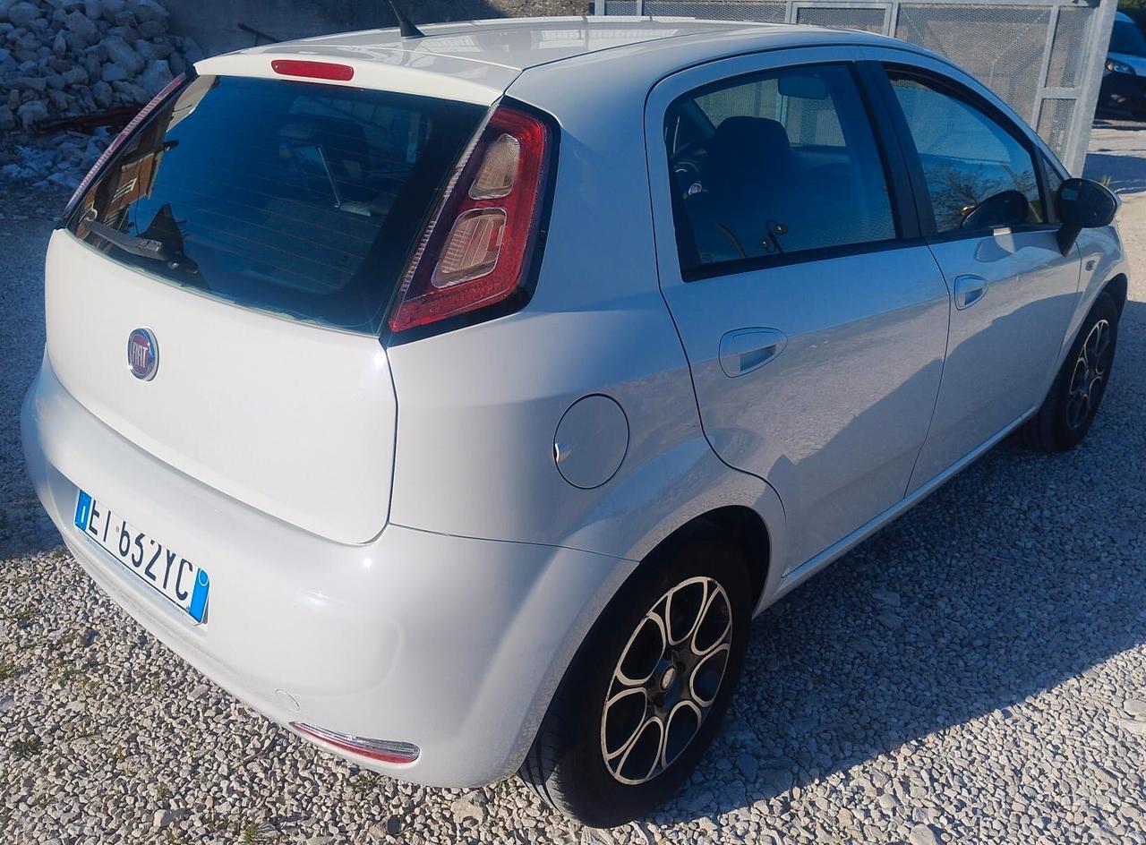 Fiat Punto IV 1.3 Mjet Street 75Cv - 2014