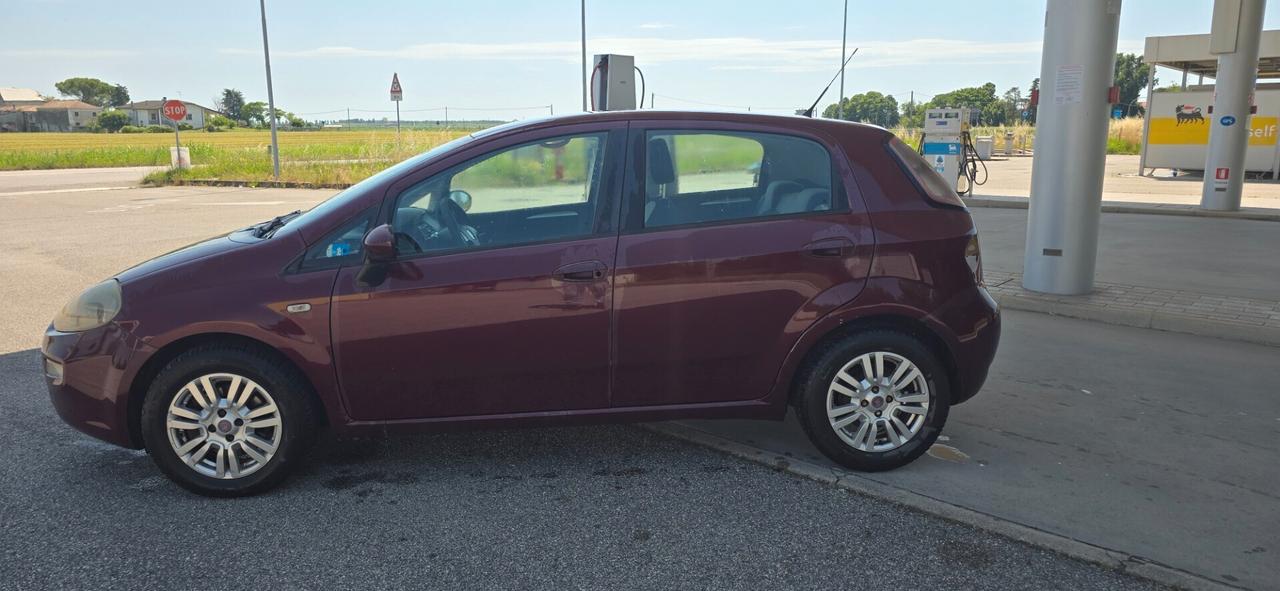 Fiat Punto 1.3 MJT II 75 CV 5 porte Pop