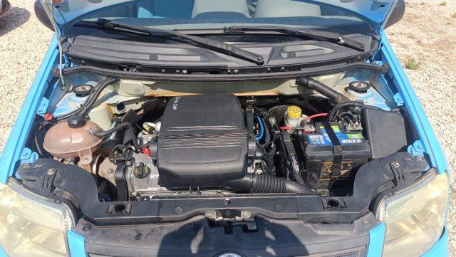 FIAT Panda GPL OPZIONALE MOTORE PERFETTO
