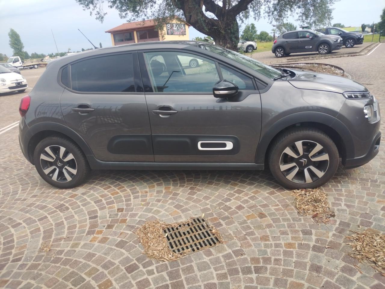 Citroen C3 Max 2024