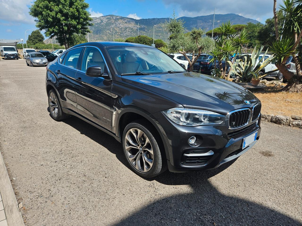 Bmw X6 xDrive30d 258CV