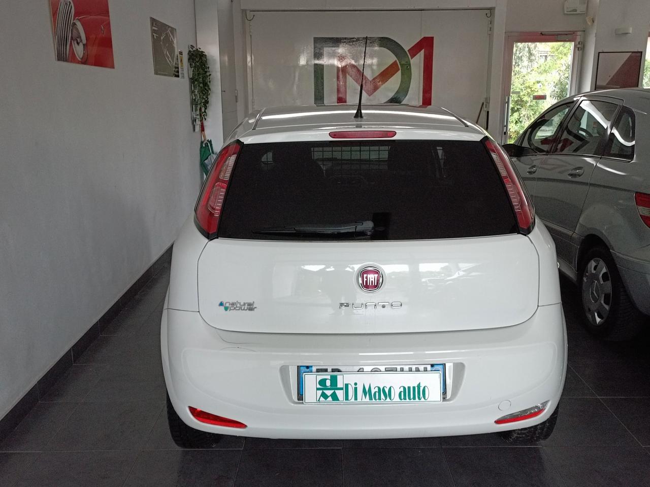 Fiat Punto Evo due posti autocarro