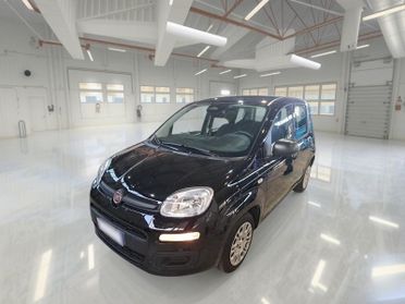 FIAT PANDA 1.0 FireFly 70cv S/S Hybrid 5 PORTE