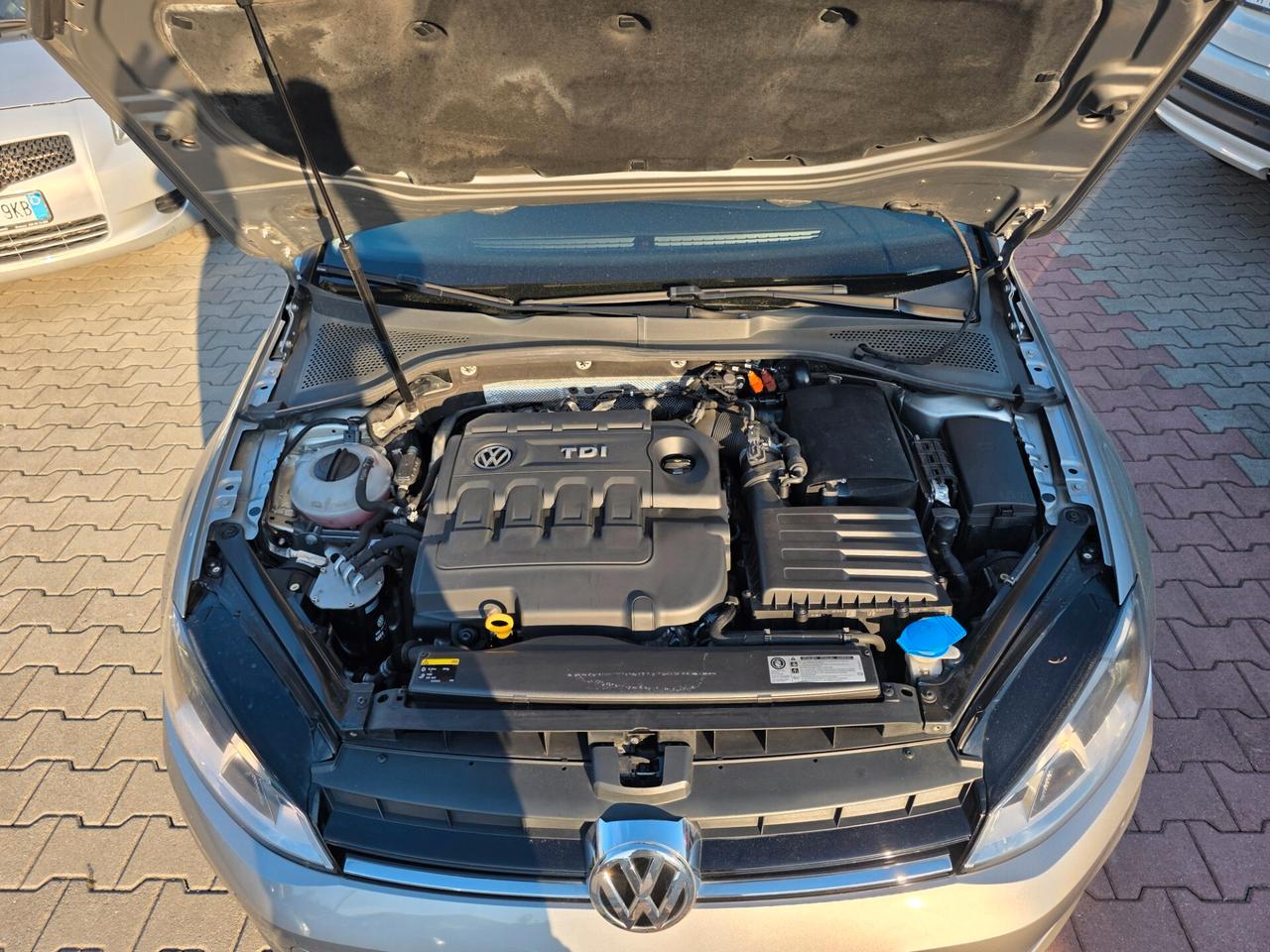 Volkswagen Golf Variant 1.6 TDI 110cv garantita 12 mesi