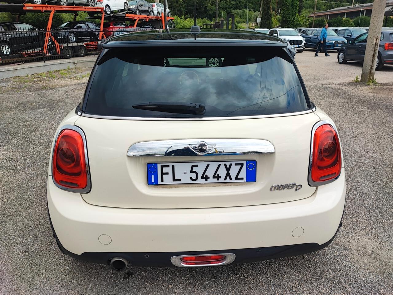 Mini 1.5 One D Hype