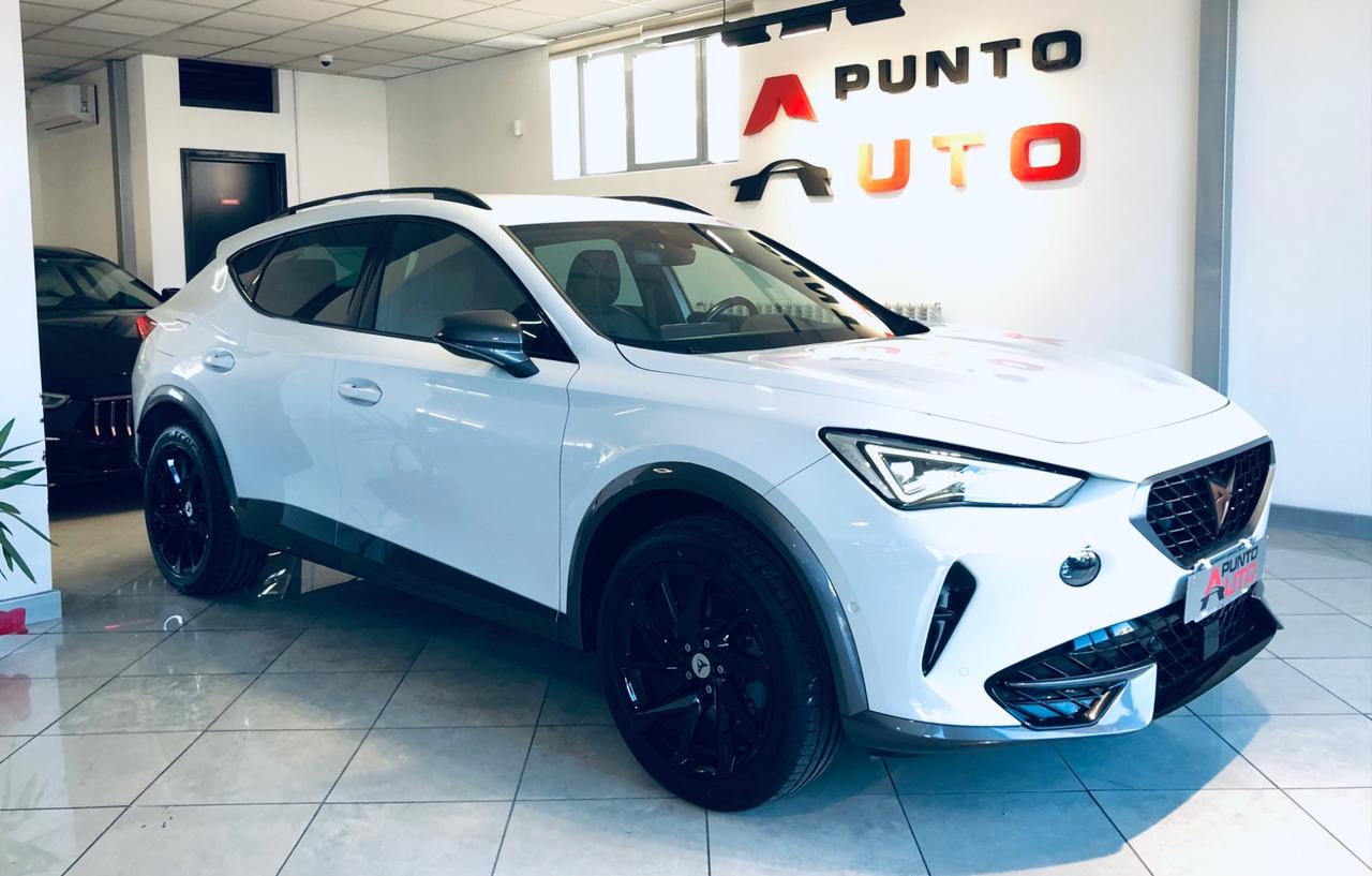 Cupra Formentor 1.5 TSI DSG LUCI AMBIENT pelle