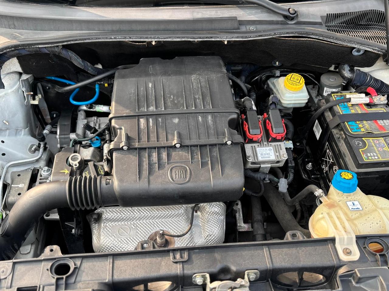 Fiat Punto Evo 1.2 5 porte S&S Active