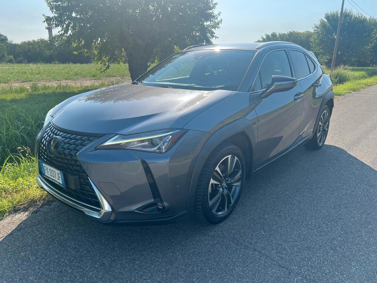 Lexus UX Hybrid 4WD Executive