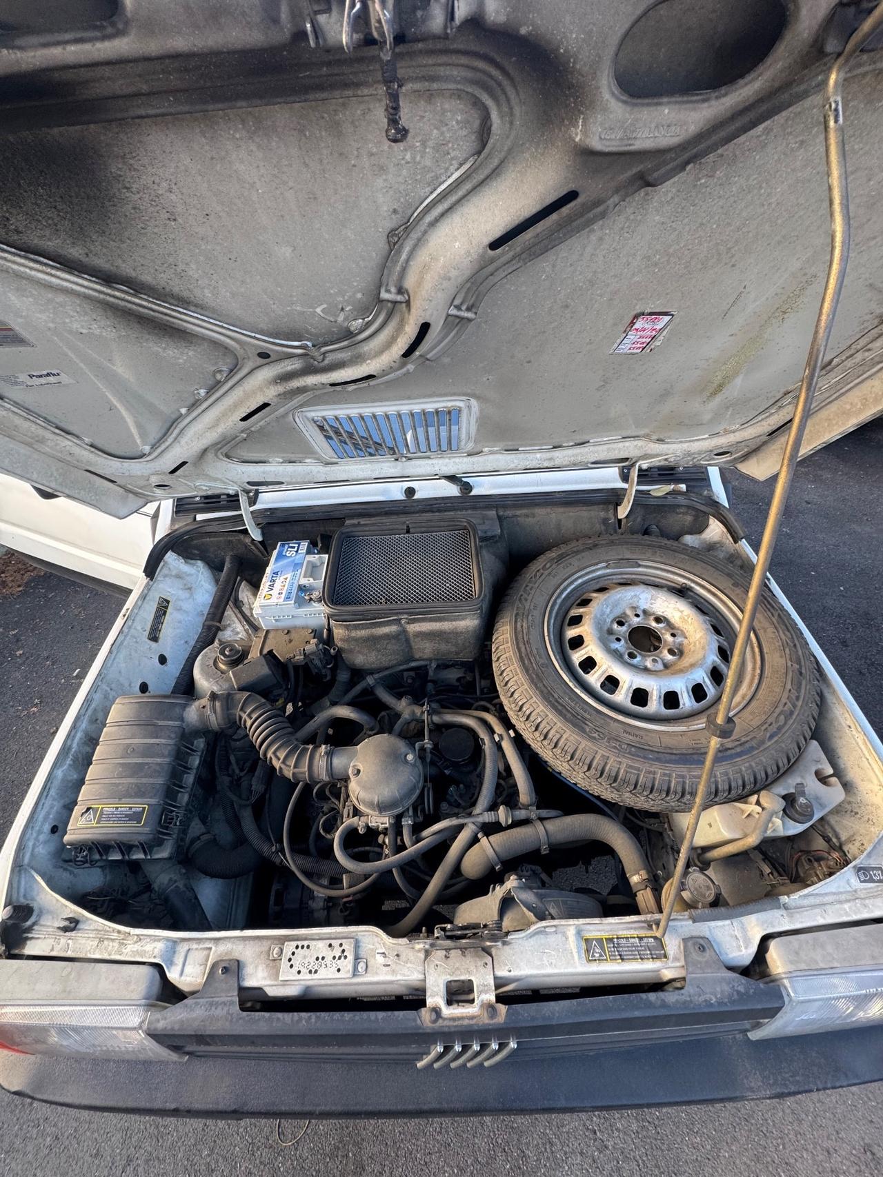 Fiat Panda 1100 i.e. cat Young