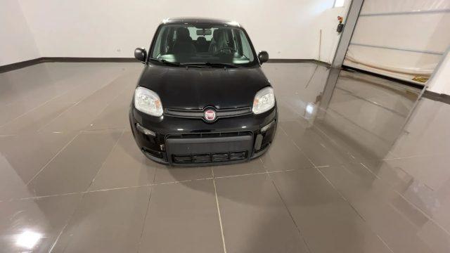 FIAT Panda 1.0 FireFly S&S Hybrid #VARI COLORI