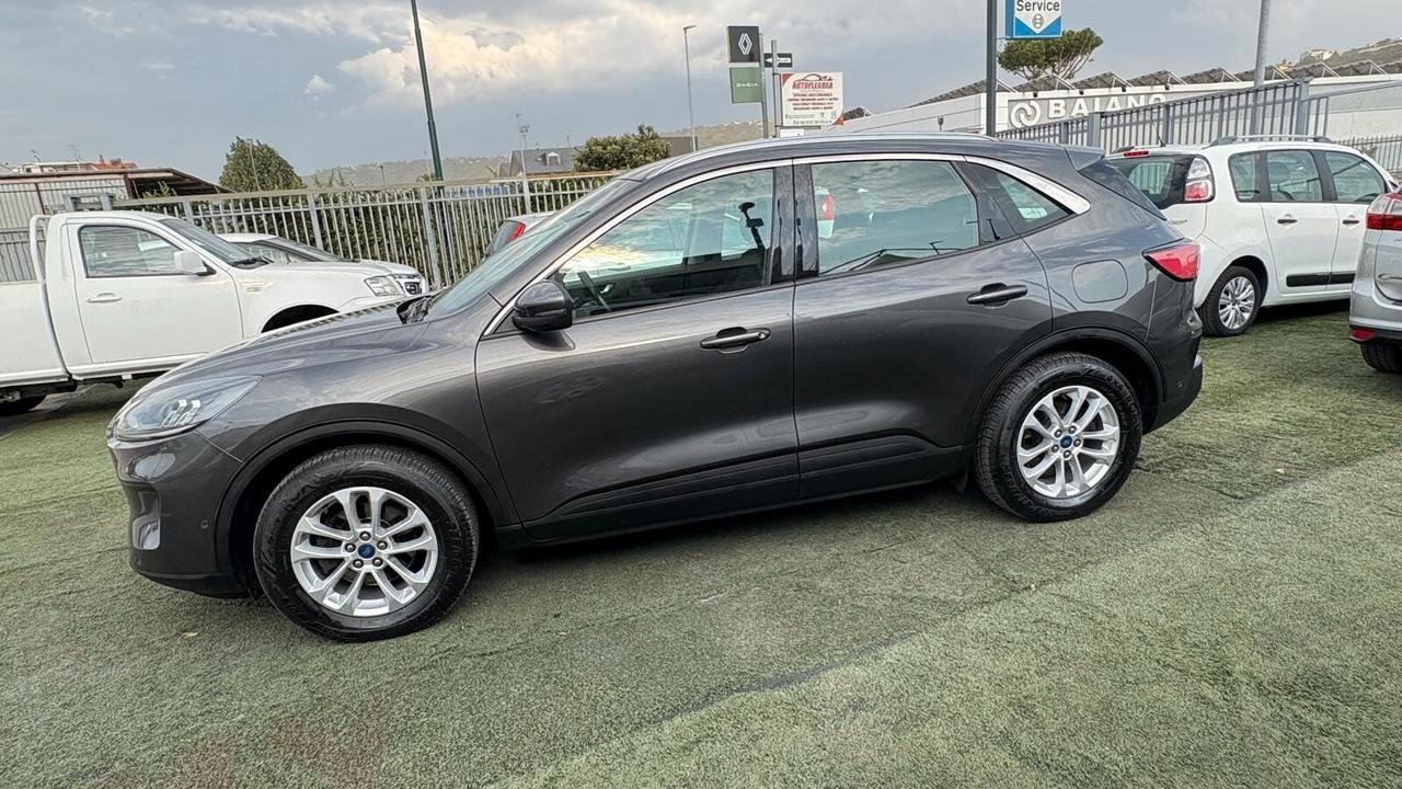 Ford Kuga 1.5 ECOBLUE DFK | DIESEL ZTDA CC 1499 CV 120 KW 88 SUV, 5 P. (1024914)