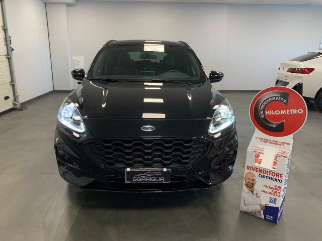 FORD Kuga 1.5 Diesel Automatico ST-Line X StraFull 2WD