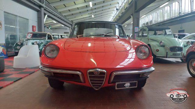 ALFA ROMEO Spider Duetto osso di seppia 1.3