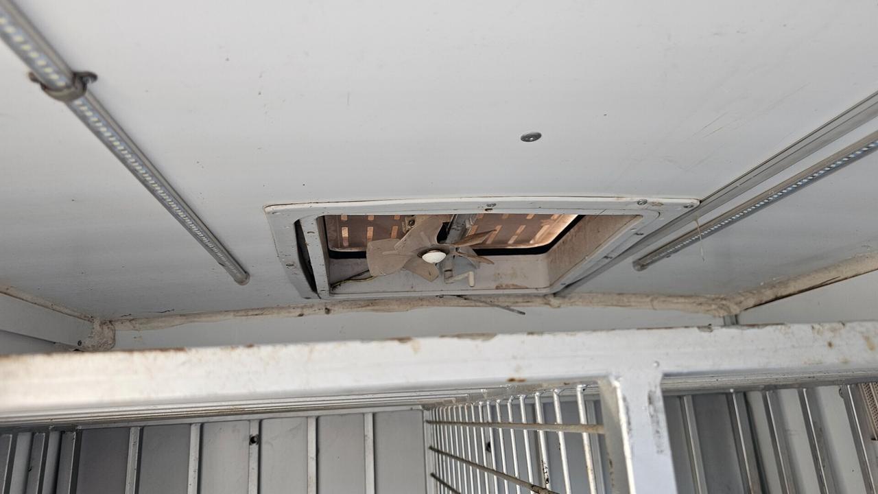 Fiat doblò allestimento trasporto animali