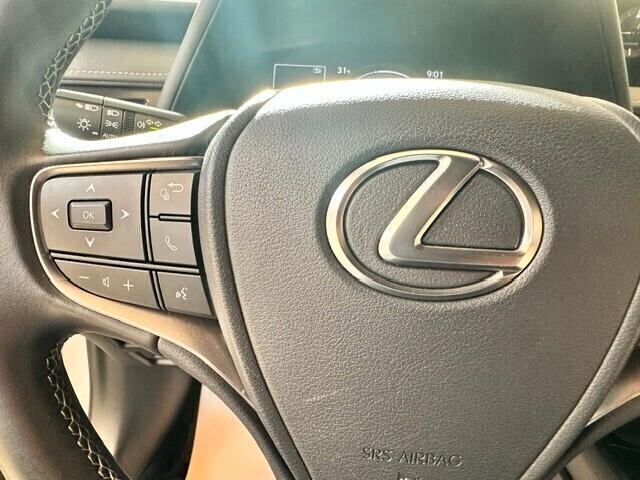 Lexus UX Hybrid Business