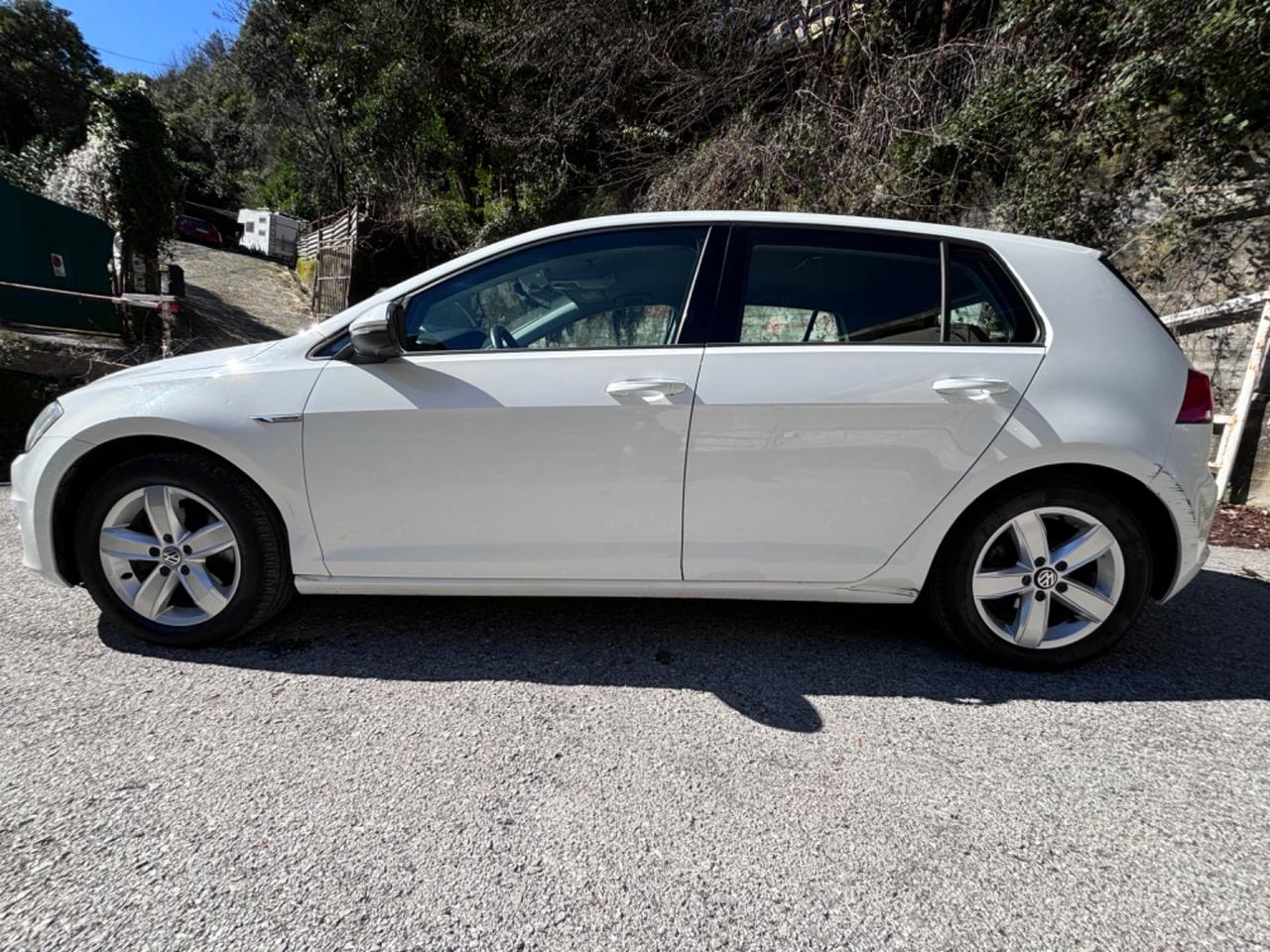 Volkswagen Golf Business 1.4 TGI 5p. Comfortline BlueMotion