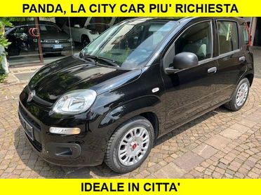 FIAT Panda 1.2 Benzina euro6 Neopatentati