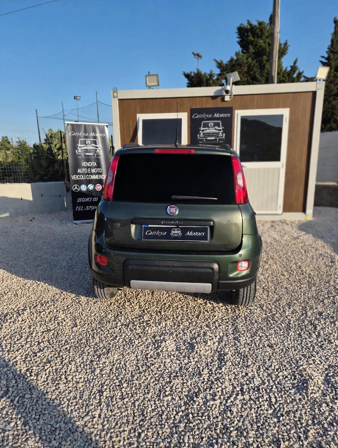 Fiat Panda 1.3 MJT 4x4 van 2 posti
