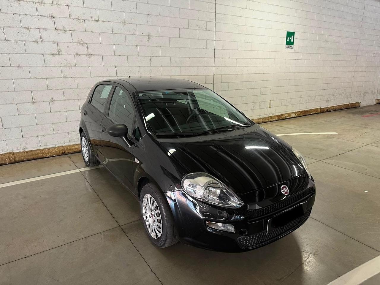 Fiat Punto 1.2 8V 5 porte Street
