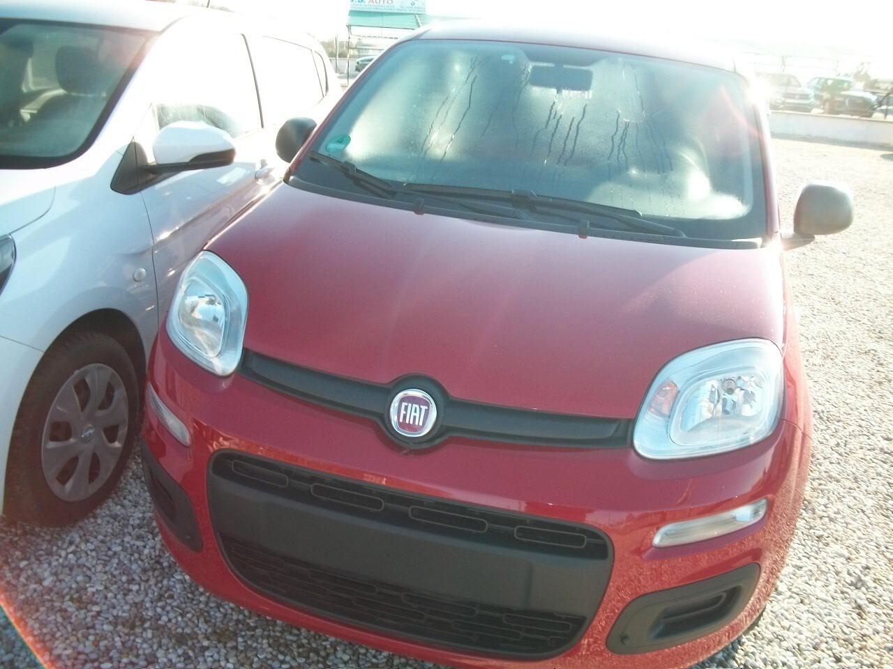 Fiat Panda 1.2 Dynamic ROSSA CC 1242 EURO 05 BENZINA GARANZIA UN ANNO