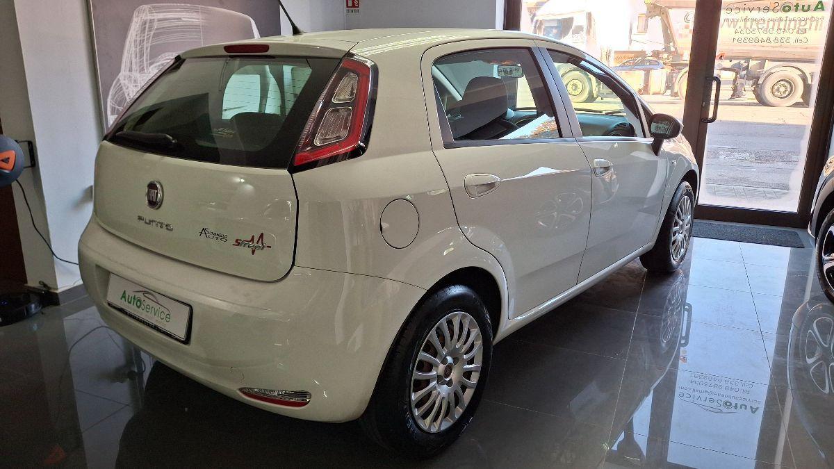 FIAT - Punto - 1.2 8V 5p. Street