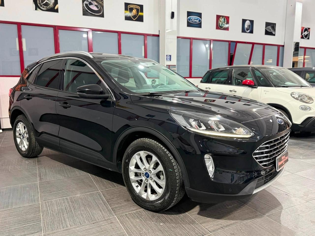 Kuga 2.0 EcoBlue 150 CV aut. 2WD Titanium Business 2022