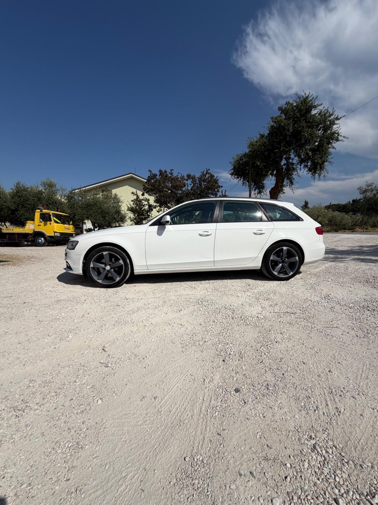 Audi A4 Avant 2.0 TDI 177CV quattro Business Plus