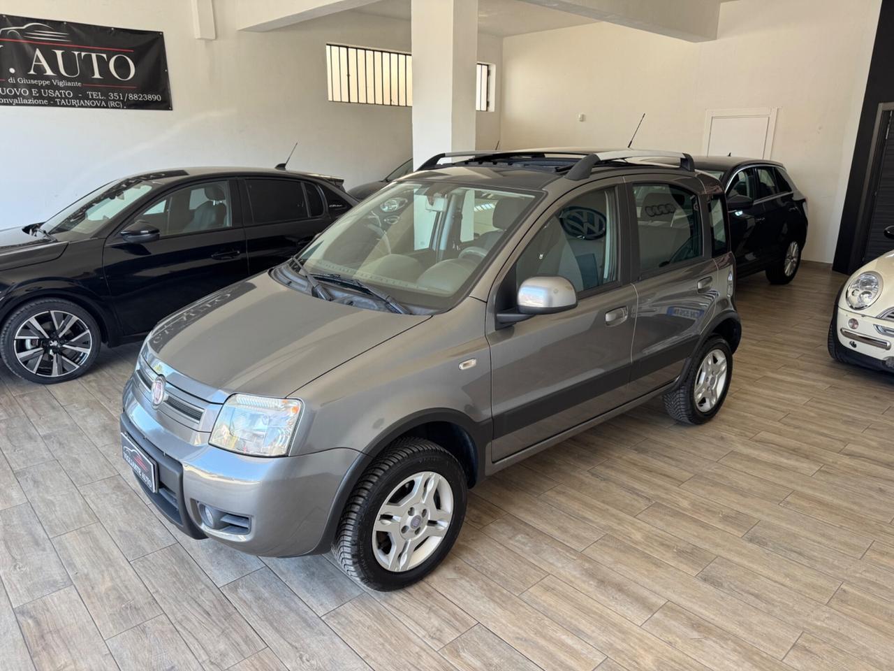 Fiat Panda 1.3 MJT 16V DPF 4x4 Climbing