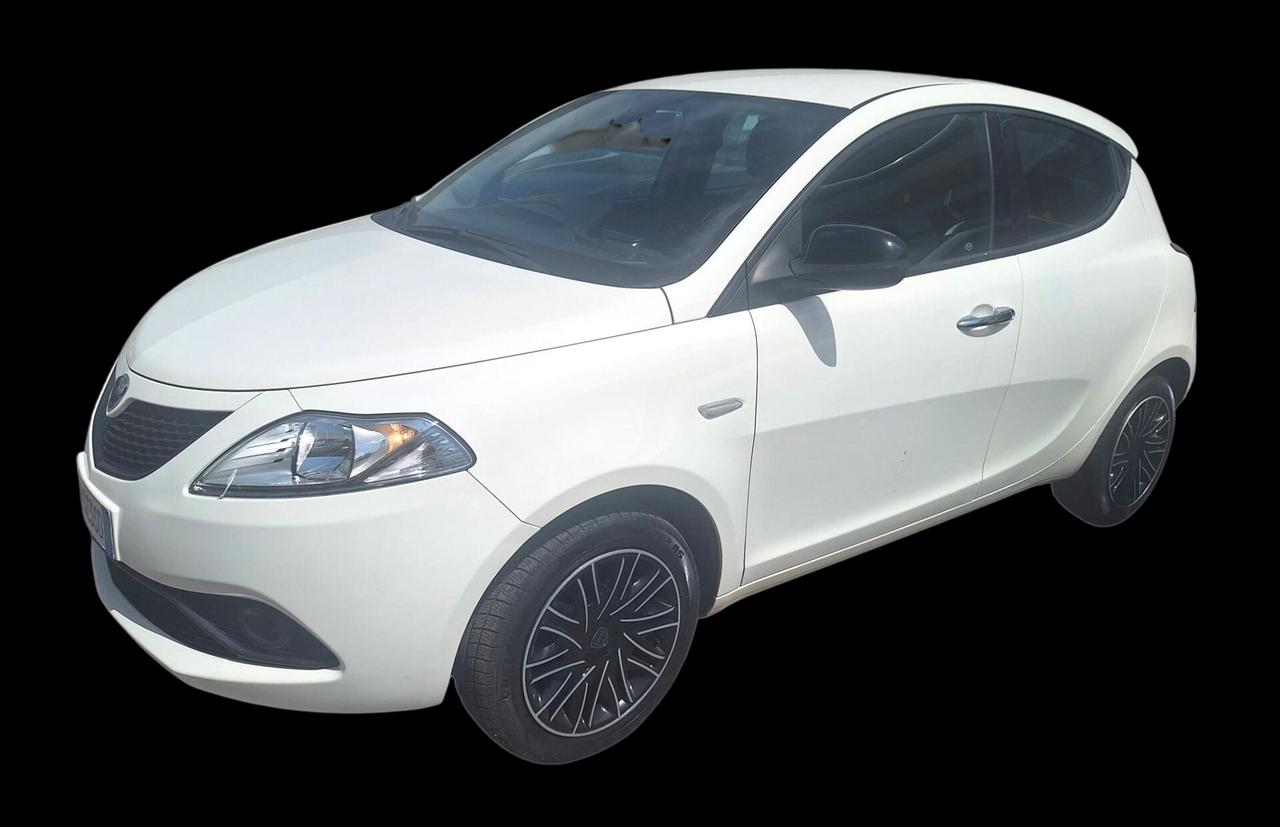 Lancia Ypsilon 1.2 69 CV 5 porte S&S Gold plus - n101192