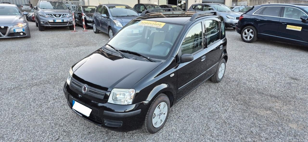 Fiat Panda 1.2 Dynamic - Bellissima