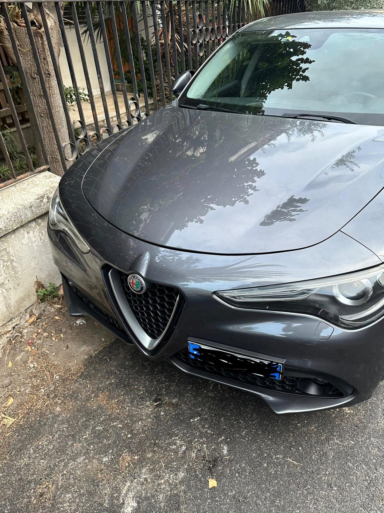Alfa Romeo Stelvio 2.2 Turbodiesel 180 CV AT8 Business
