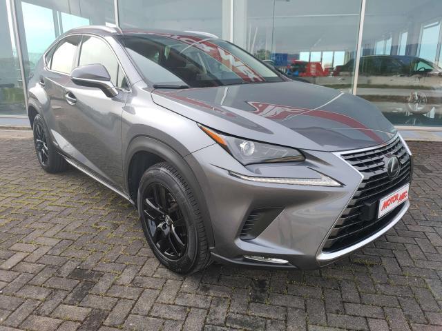 Lexus NX 300 NX 300h 2.5 Business 4wd cvt 24 mesi Garanzia