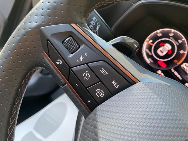 CUPRA Formentor 2.0 TDI 150 CV 4Drive DSG ''OPACA''