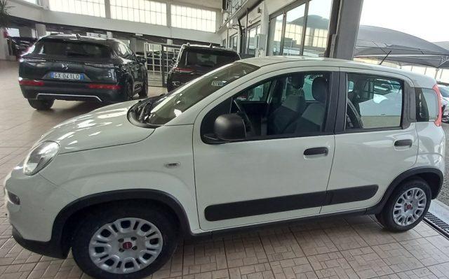 FIAT Panda 1.0 GSE S&S Hybrid Street Van 4 posti