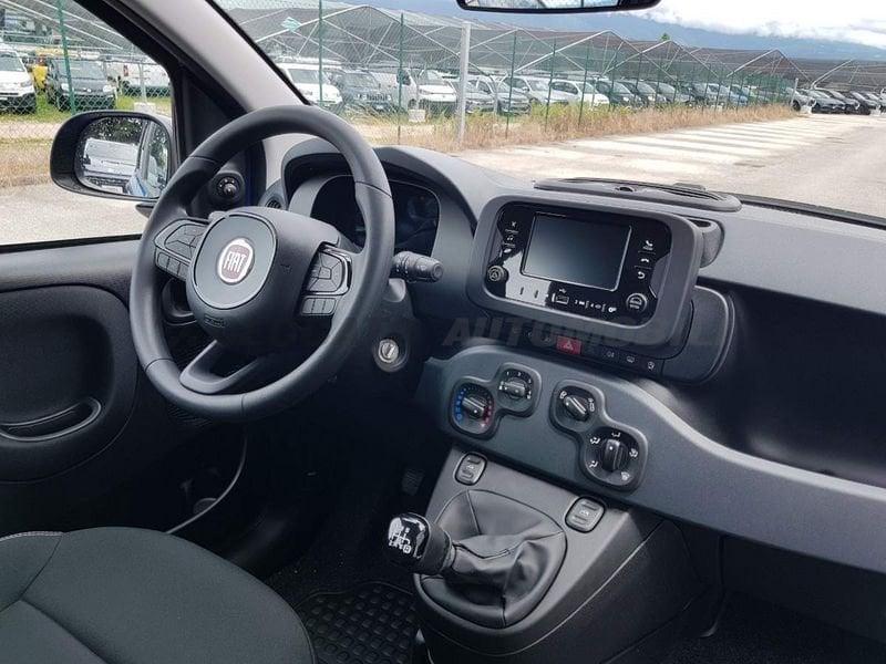 FIAT Panda Panda 1.0 firefly hybrid s&s 70cv