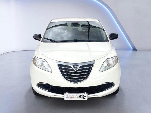 LANCIA Ypsilon 1.2 BENZ 69 CV 5 porte Gold ADATTA A NEOPATENTATI