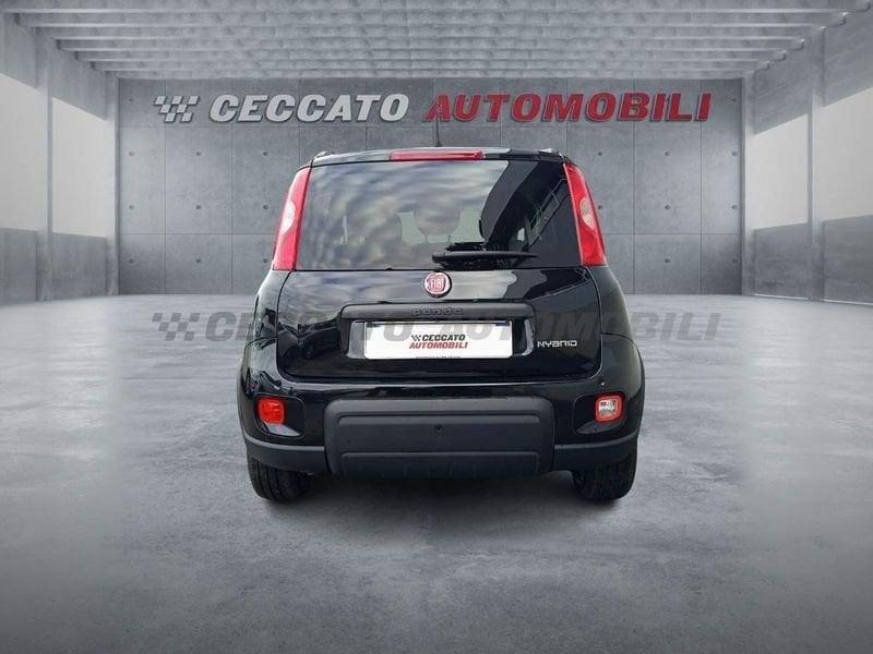 FIAT Panda Panda 1.0 firefly hybrid s&s 70cv 5p.ti