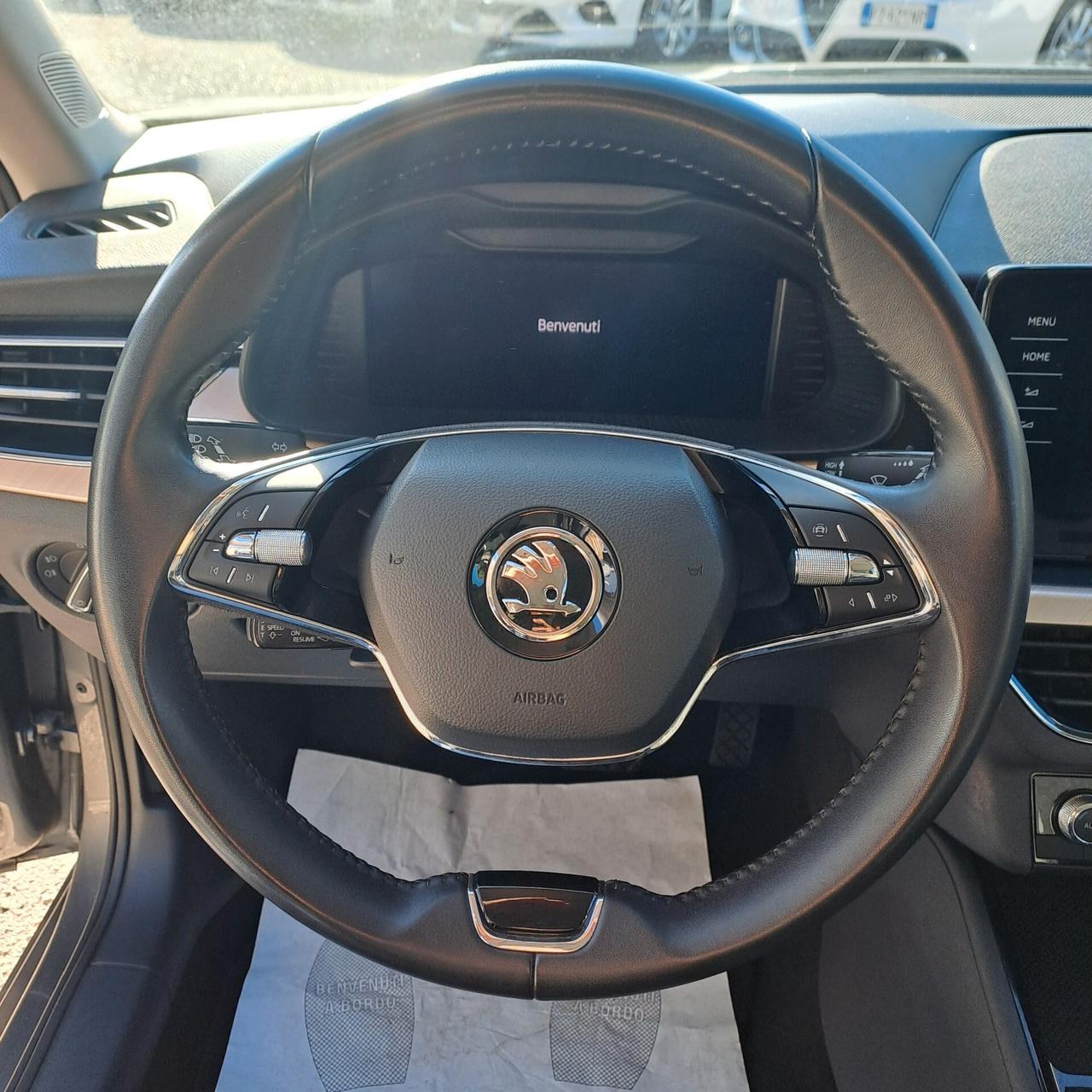 Skoda Kamiq 1.0 Tsi 110Cv Dsg Style