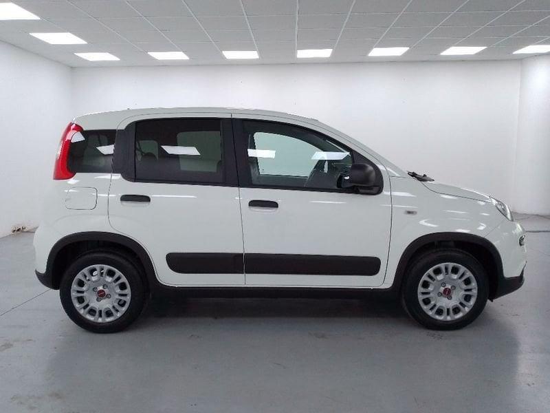 FIAT Panda van 1.0 hybrid Street 70cv 4p.ti serie 4 E6d